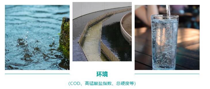 壹号娱乐