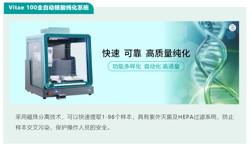 壹号娱乐
