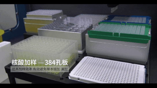 壹号娱乐
