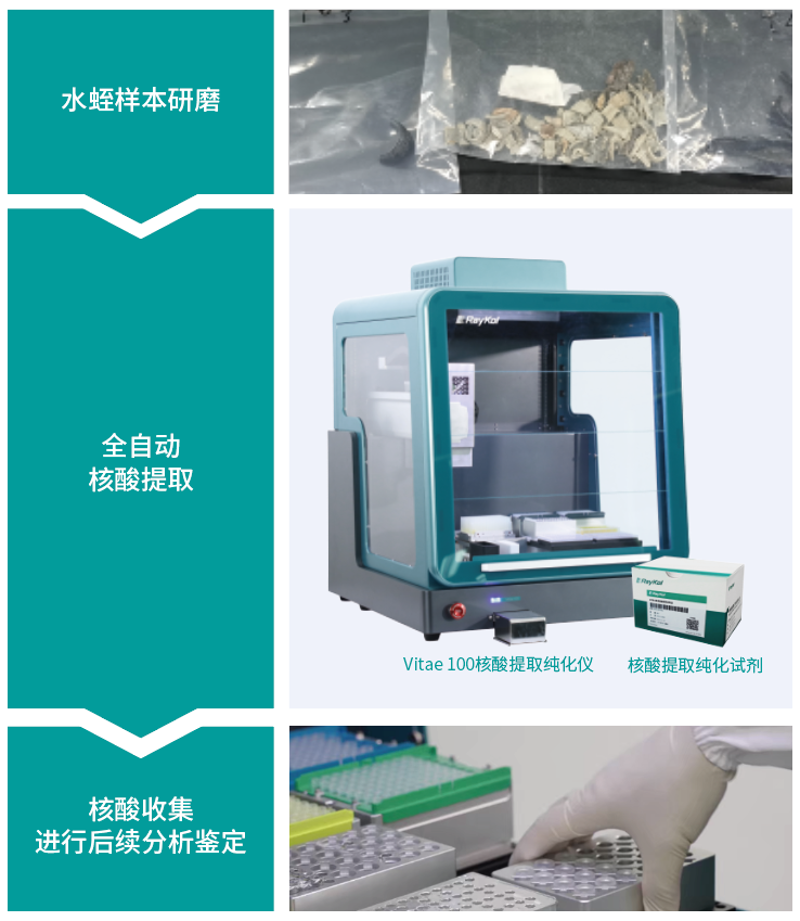 壹号娱乐