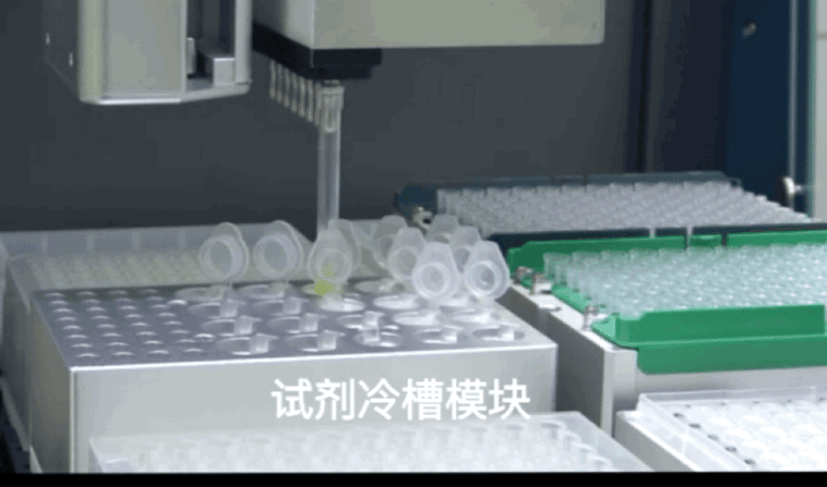 壹号娱乐