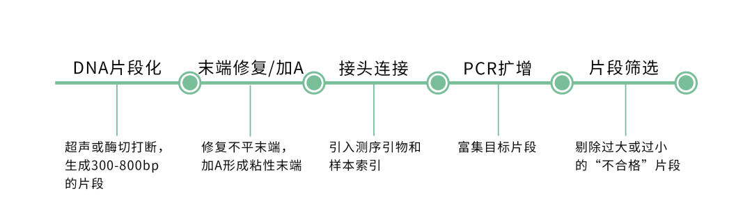 壹号娱乐