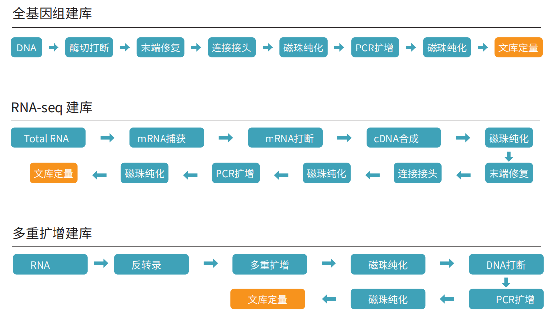 壹号娱乐_Vitae 180 NGS-96建库仪 202504_03(1).png